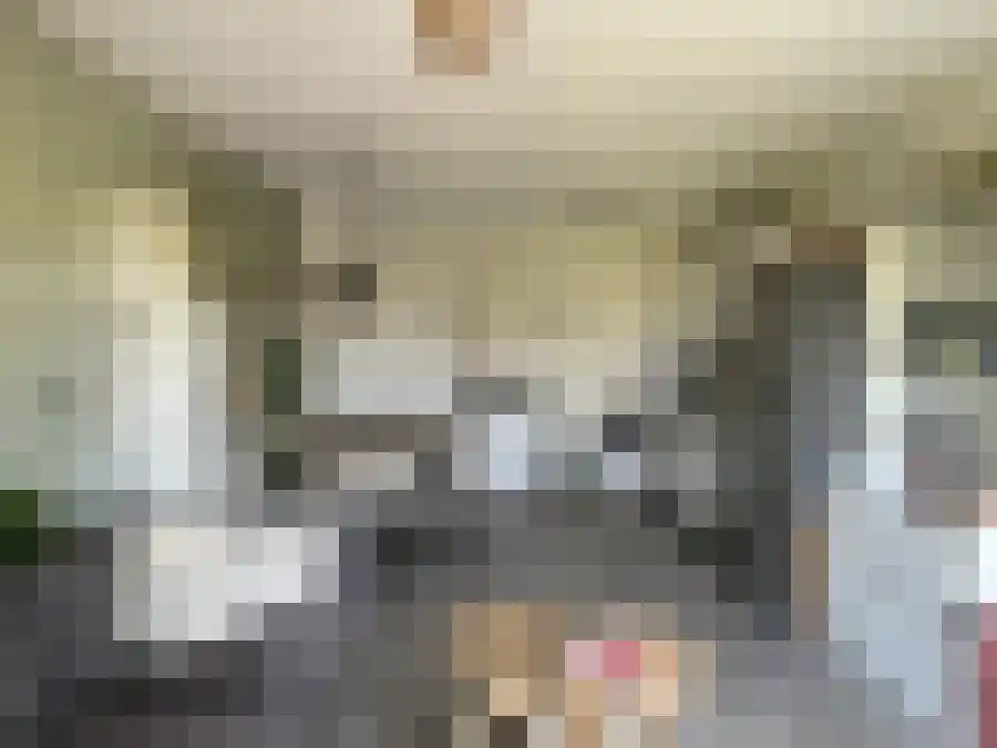 Eglantierlaan 200 Apeldoorn thumbnail 4