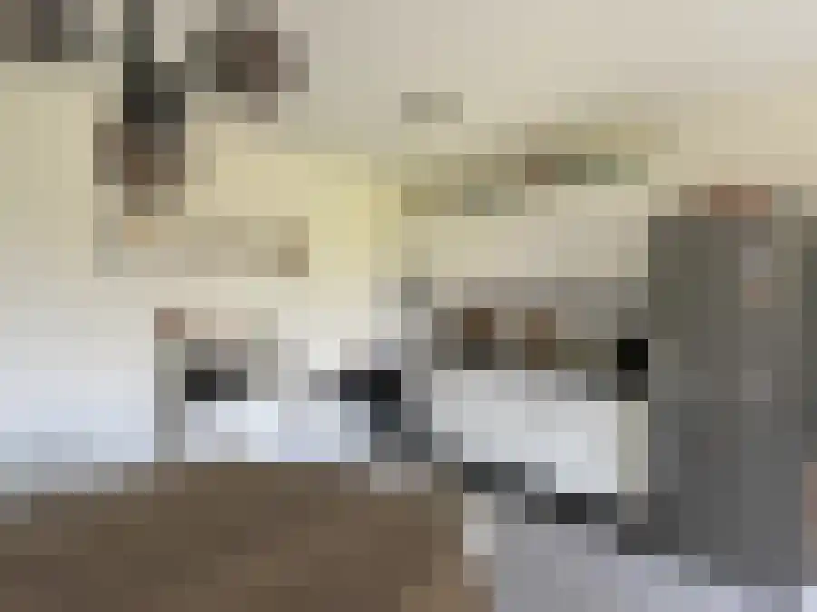 Eglantierlaan 200 Apeldoorn thumbnail 5