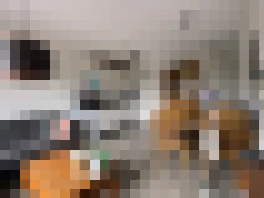 Eglantierlaan Apeldoorn thumbnail 4