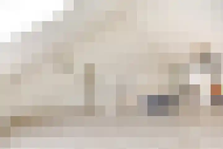 Egmond 12 Boxmeer thumbnail 23