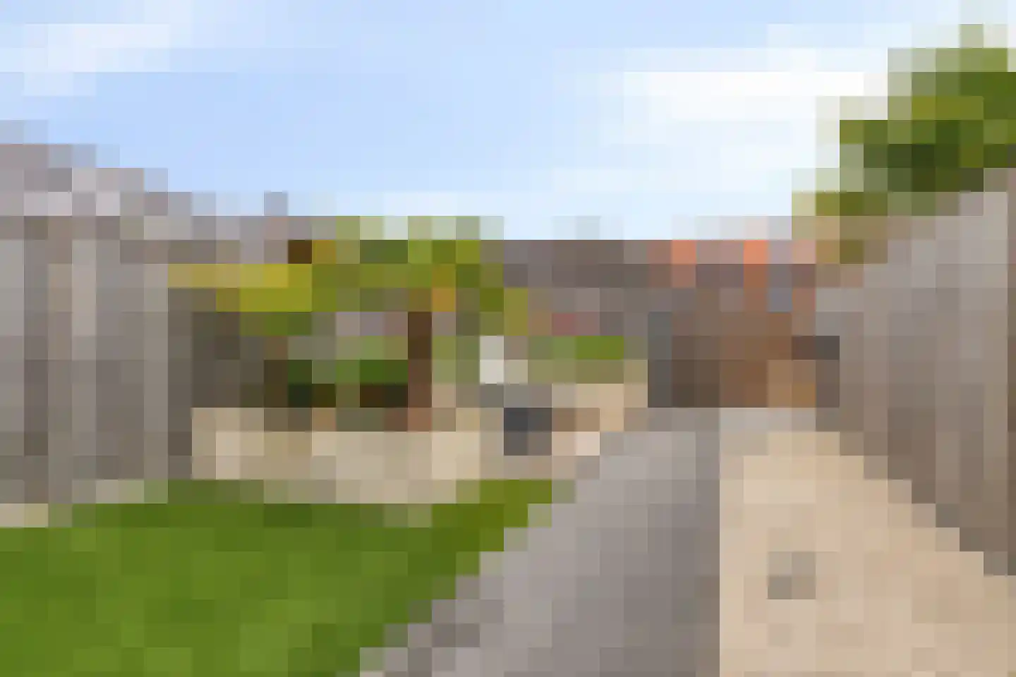 Egmond 14 Boxmeer thumbnail 33