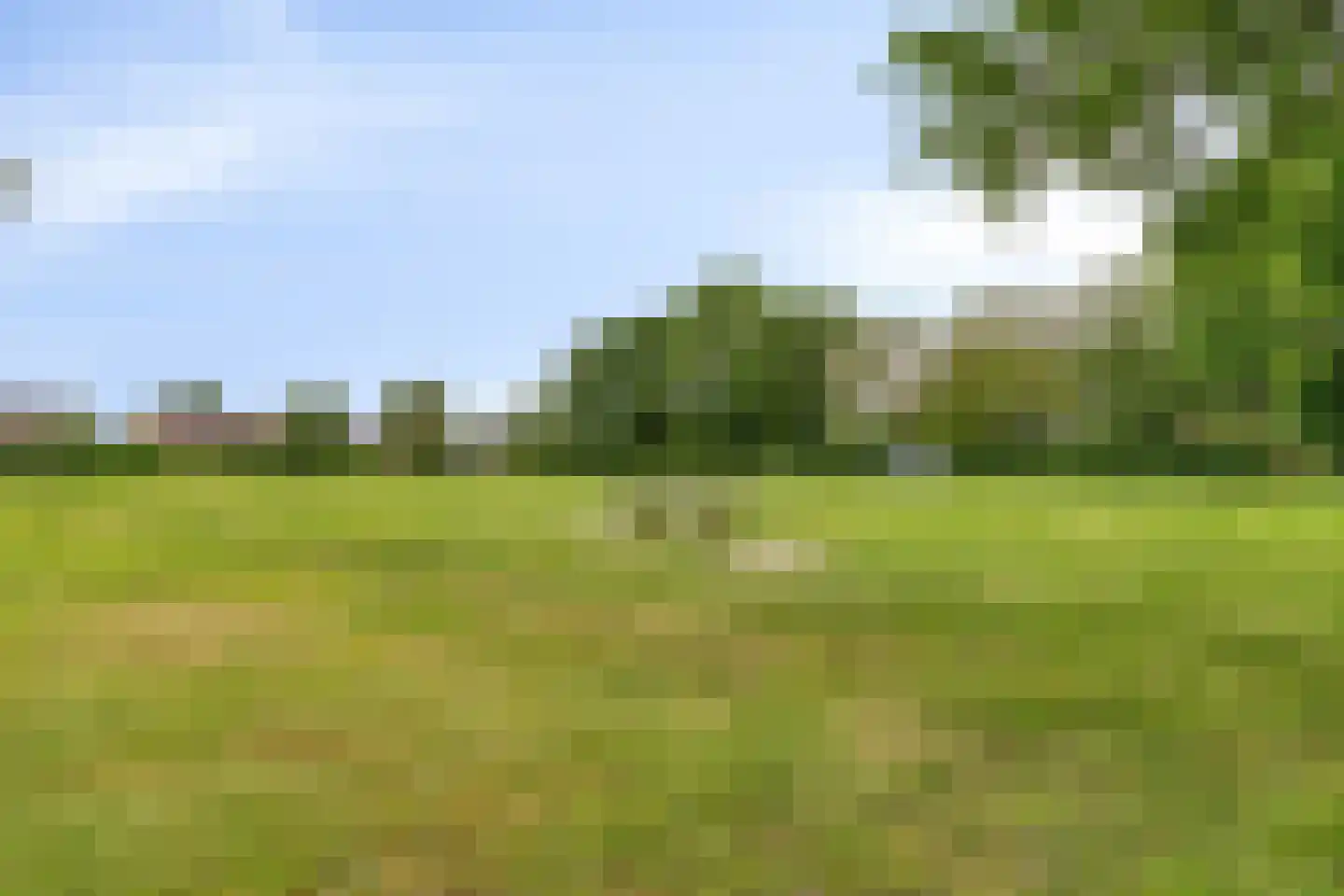 Egmond 14 Boxmeer thumbnail 38
