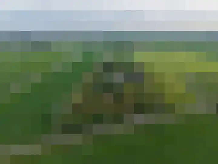 Egmondermeer 19 Egmond aan den Hoef thumbnail 10