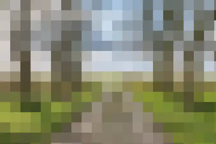Egmondermeer 19 Egmond aan den Hoef thumbnail 7