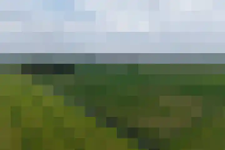 Egmondermeer 19 Egmond aan den Hoef thumbnail 9