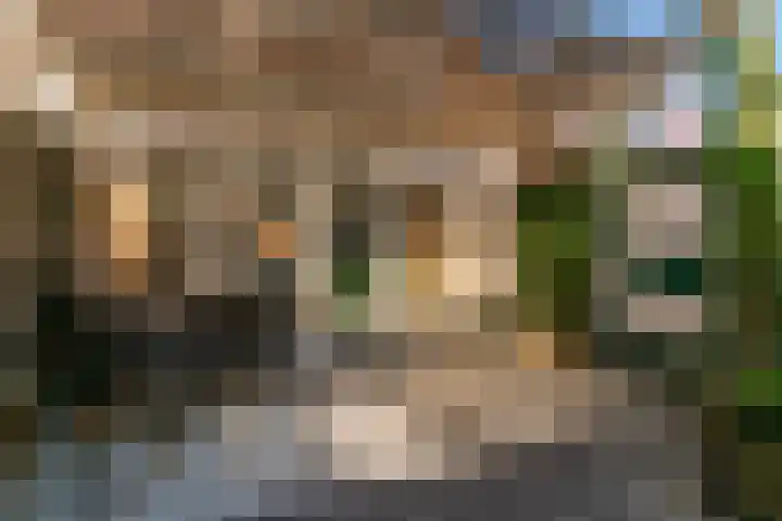 Egmonderstraat 29 Noordwijk thumbnail 25