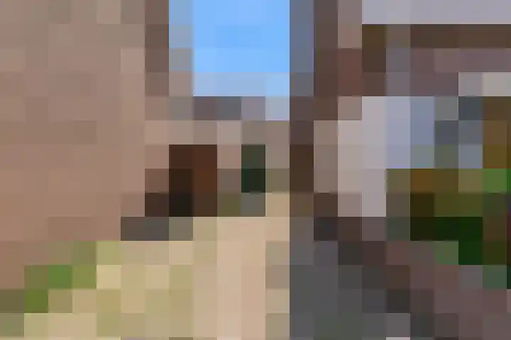 Egmonderstraat 29 Noordwijk thumbnail 32