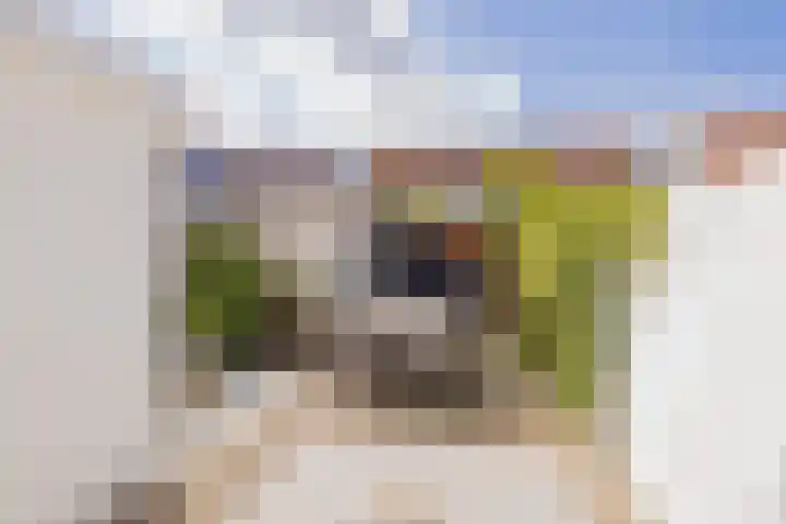 Egmonderstraat 31 Noordwijk thumbnail 30