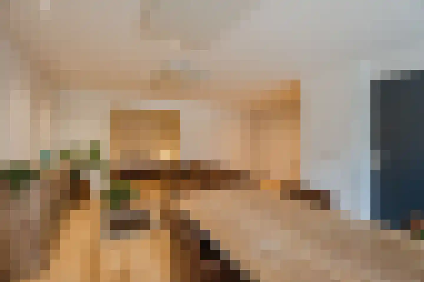 Egmonderstraatweg 7 e Egmond aan den Hoef thumbnail 7
