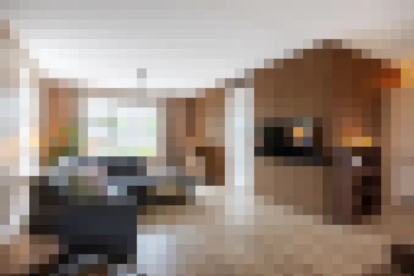 Egmondlaan 6 Grootegast thumbnail 13