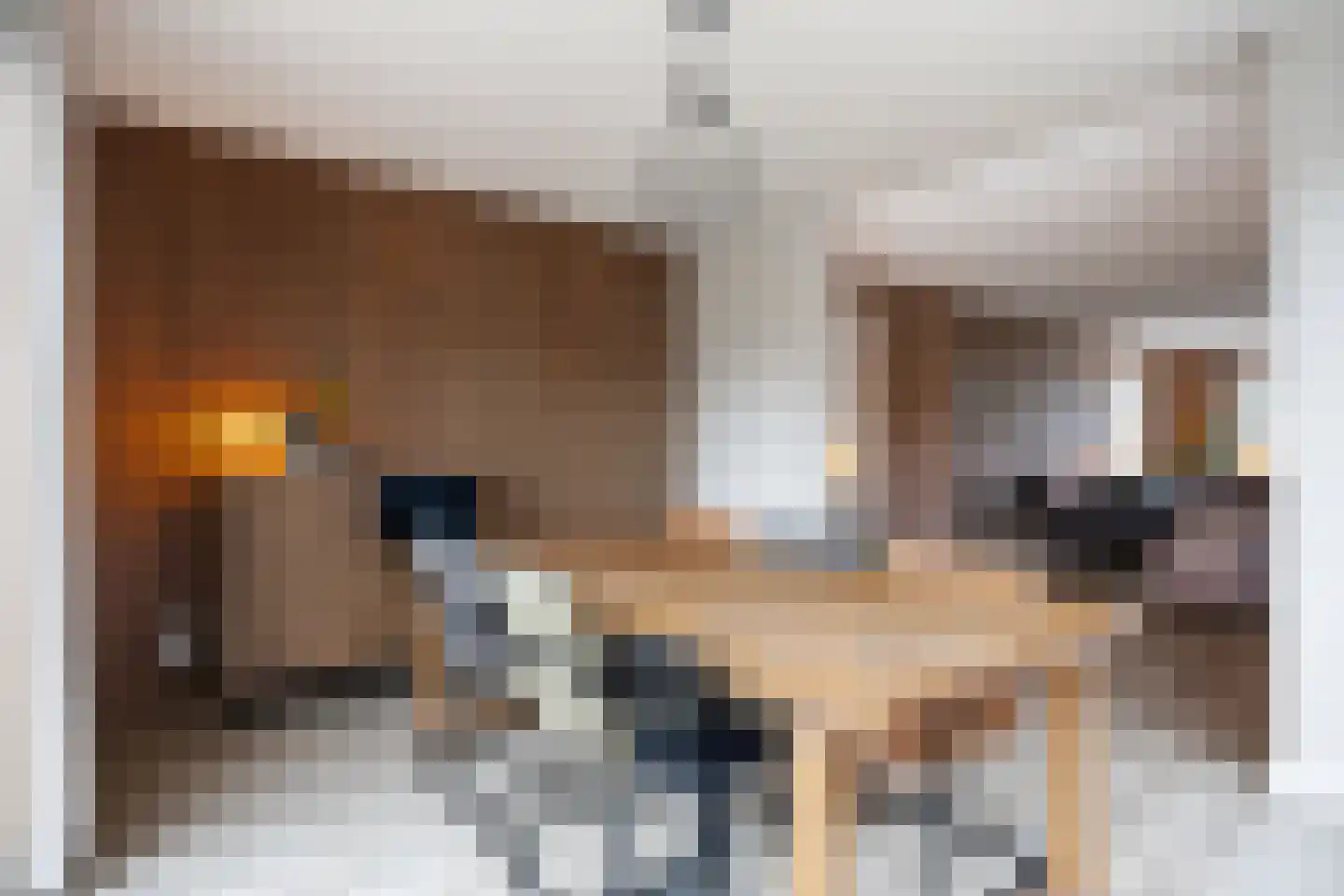 Egmondlaan 6 Grootegast thumbnail 19