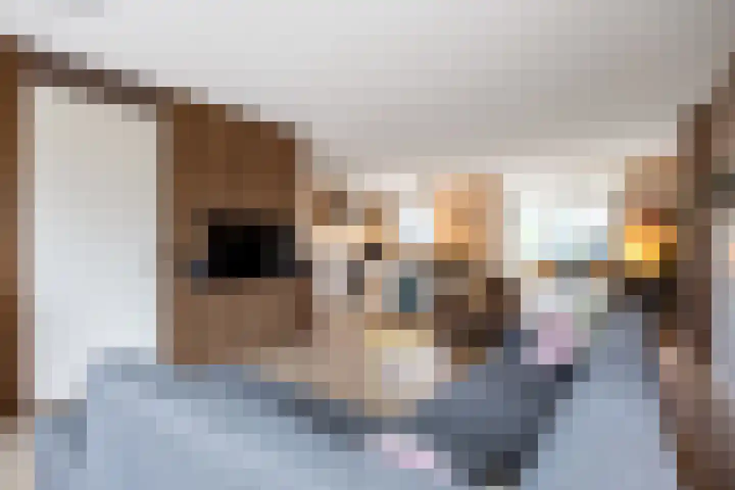 Egmondlaan 6 Grootegast thumbnail 4