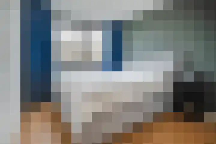 Egmondland 120 Den Hoorn thumbnail 18