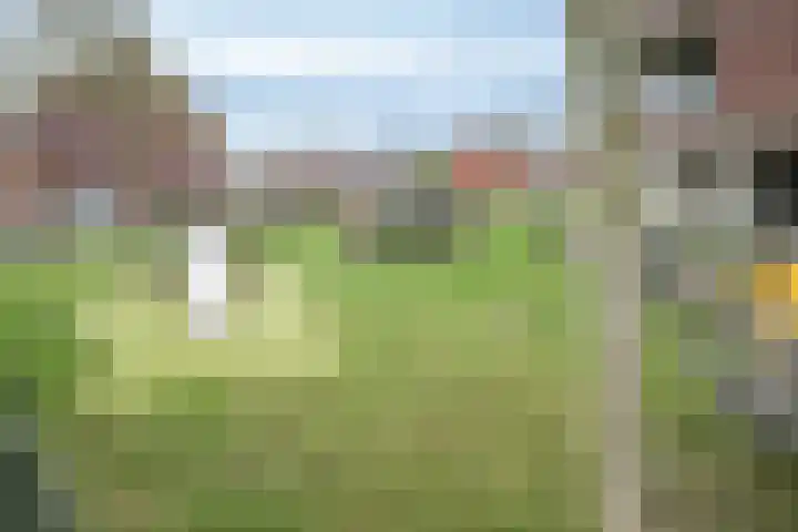 Egmondland 120 Den Hoorn thumbnail 21