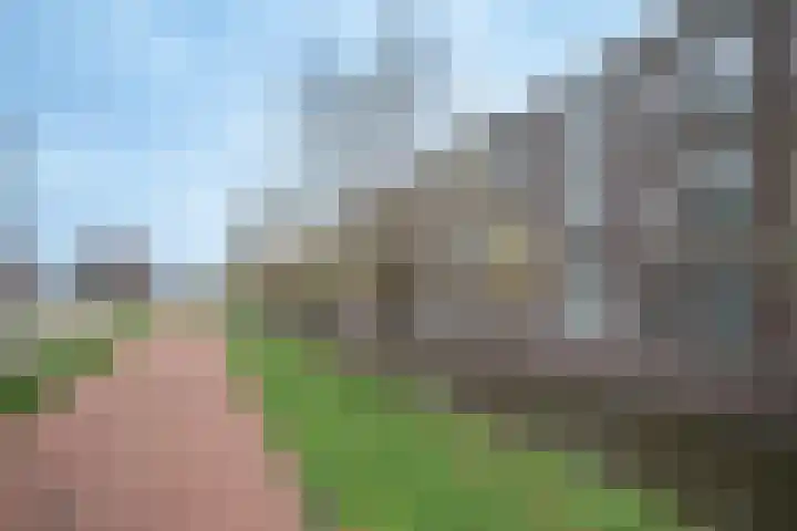 Egmondland 120 Den Hoorn thumbnail 22