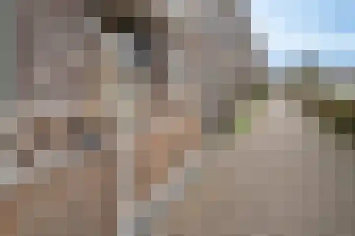 Egmondland 120 Den Hoorn thumbnail 7
