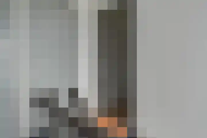 Egmondland 120 Den Hoorn thumbnail 9
