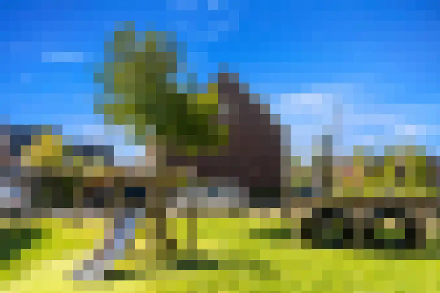 Egmondland 158 Den Hoorn thumbnail 29