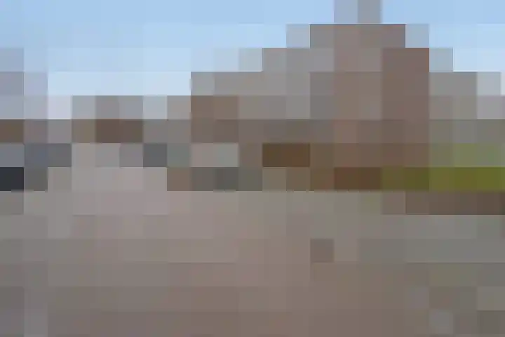 Egmondland 60 Den Hoorn thumbnail 21