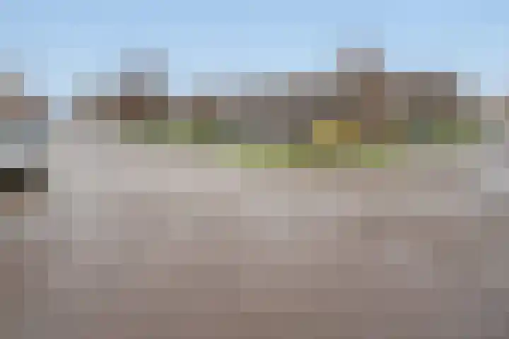 Egmondland 60 Den Hoorn thumbnail 22