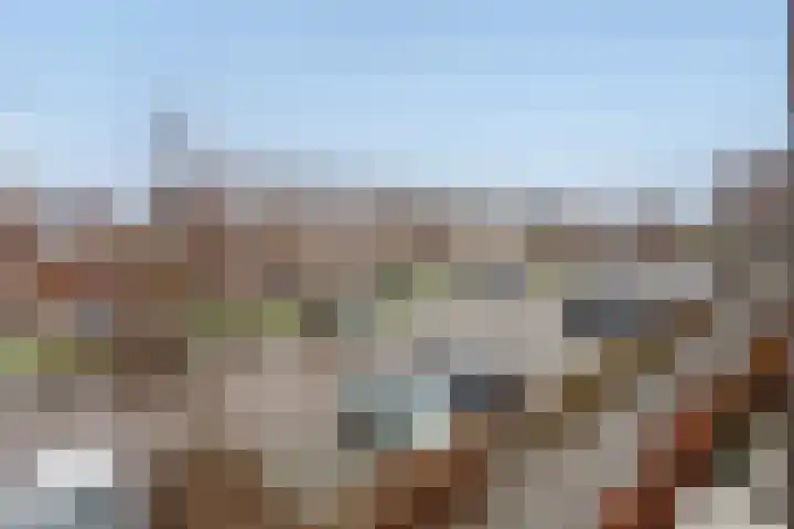 Egmondland 60 Den Hoorn thumbnail 5