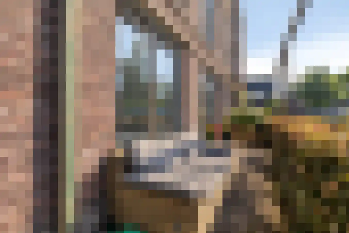 Egmondland 68 Den Hoorn thumbnail 22