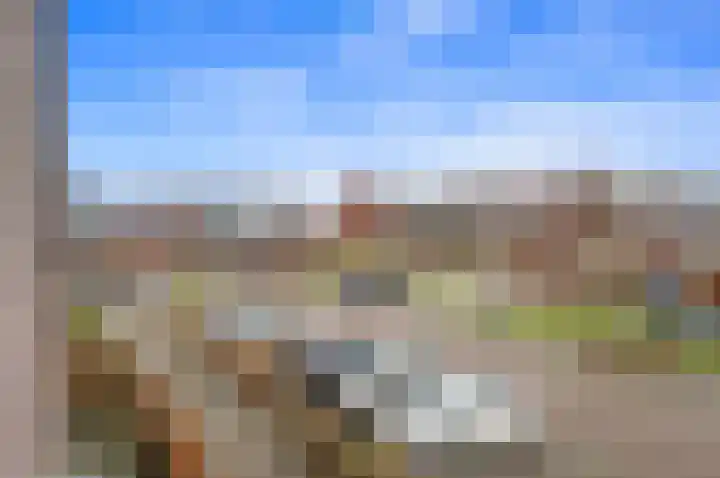 Egmondland 74 Den Hoorn thumbnail 21