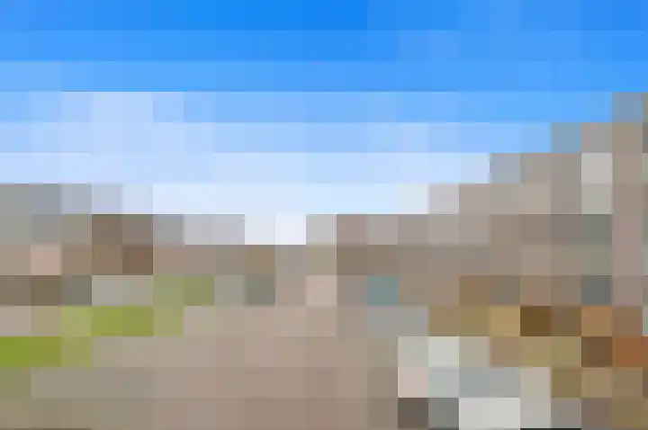 Egmondland 74 Den Hoorn thumbnail 8