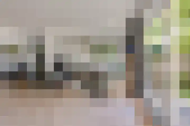 Egmondstraat 1 Berkel en Rodenrijs thumbnail 10
