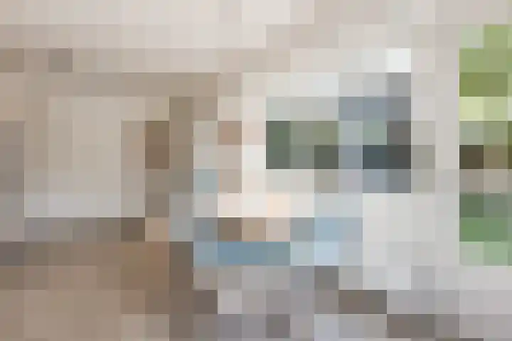 Egmondstraat 1 Berkel en Rodenrijs thumbnail 18