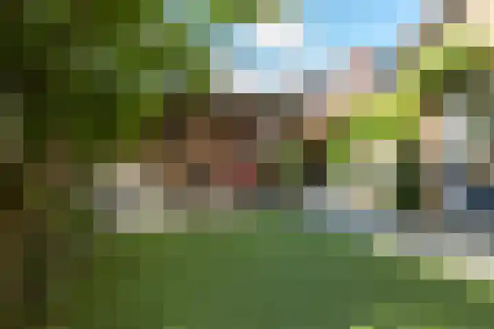 Egmondstraat 1 Berkel en Rodenrijs thumbnail 4