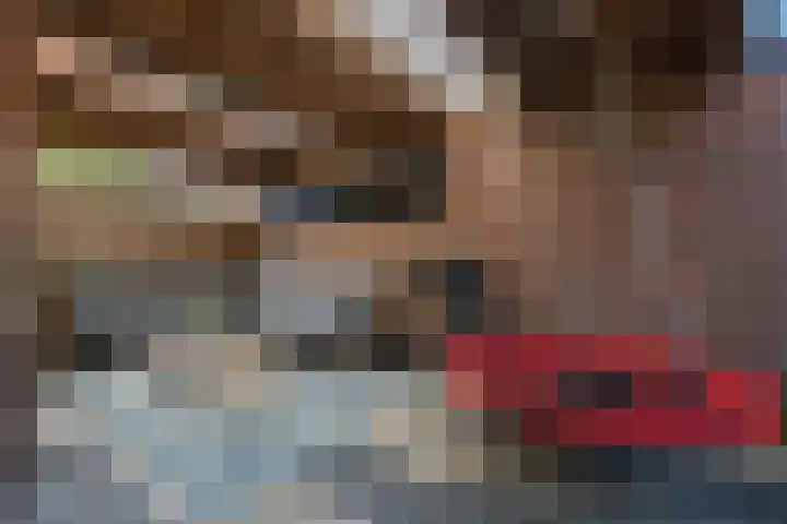 Egmondstraat 1 Berkel en Rodenrijs thumbnail 42