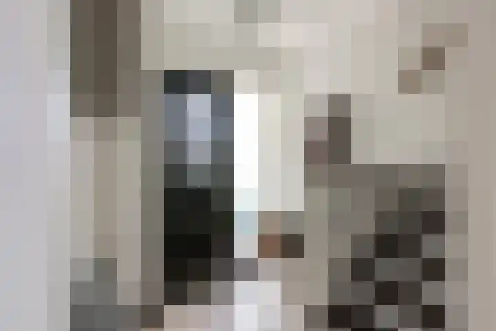 Egmondstraat 1 Berkel en Rodenrijs thumbnail 8