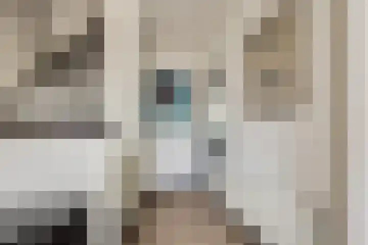 Egmondstraat 1 Berkel en Rodenrijs thumbnail 9