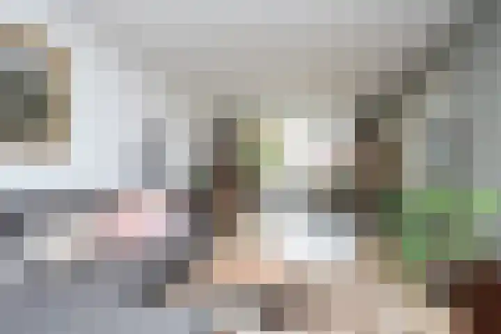 Egmondstraat 2 Berkel en Rodenrijs thumbnail 11