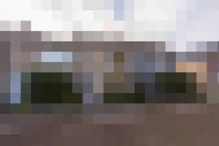 Egmondstraat 2 Berkel en Rodenrijs thumbnail 4