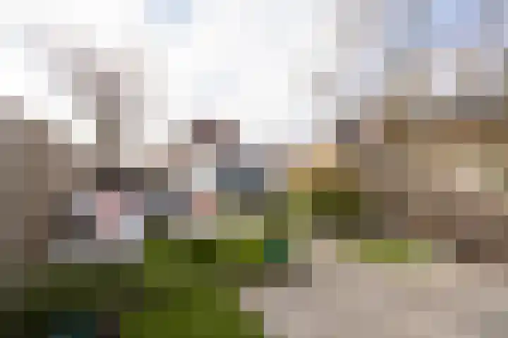 Egmondstraat 2 Berkel en Rodenrijs thumbnail 42