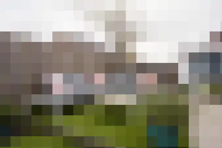 Egmondstraat 2 Berkel en Rodenrijs thumbnail 46
