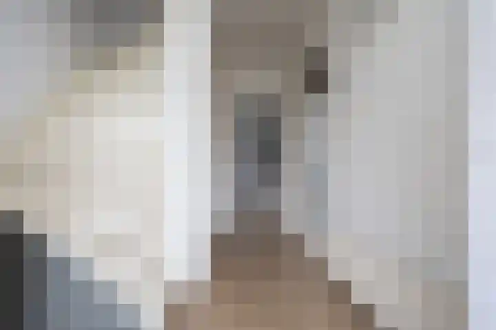 Egmondstraat 2 Berkel en Rodenrijs thumbnail 9
