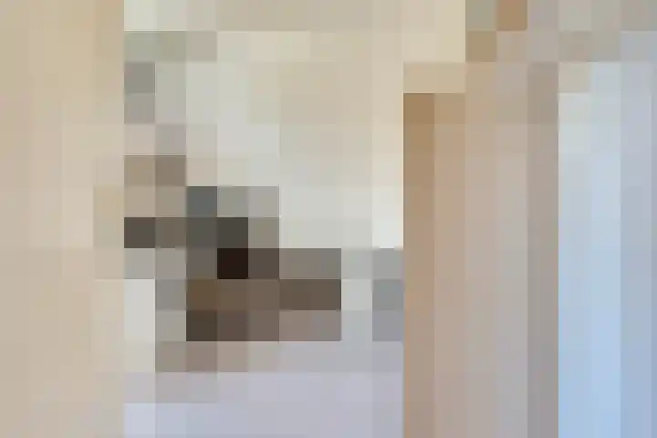 Egmondstraat 6 Arnhem thumbnail 22
