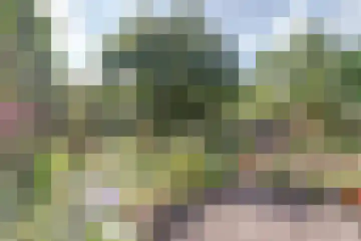 Egmondstraat 6 Arnhem thumbnail 38