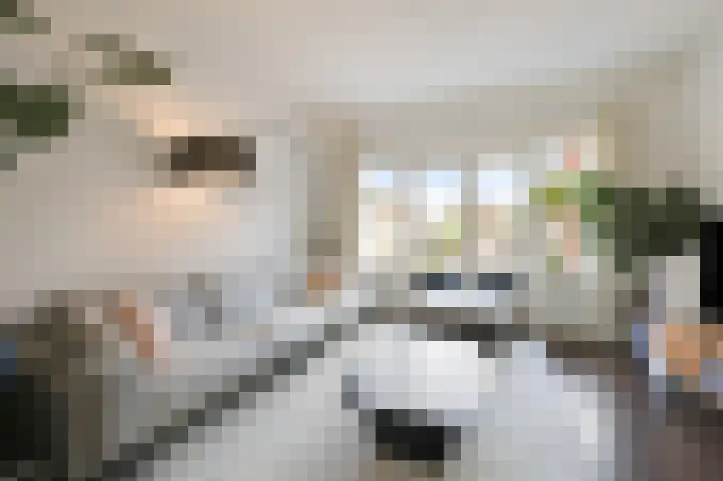 Egmondstraat 8 Velp thumbnail 10