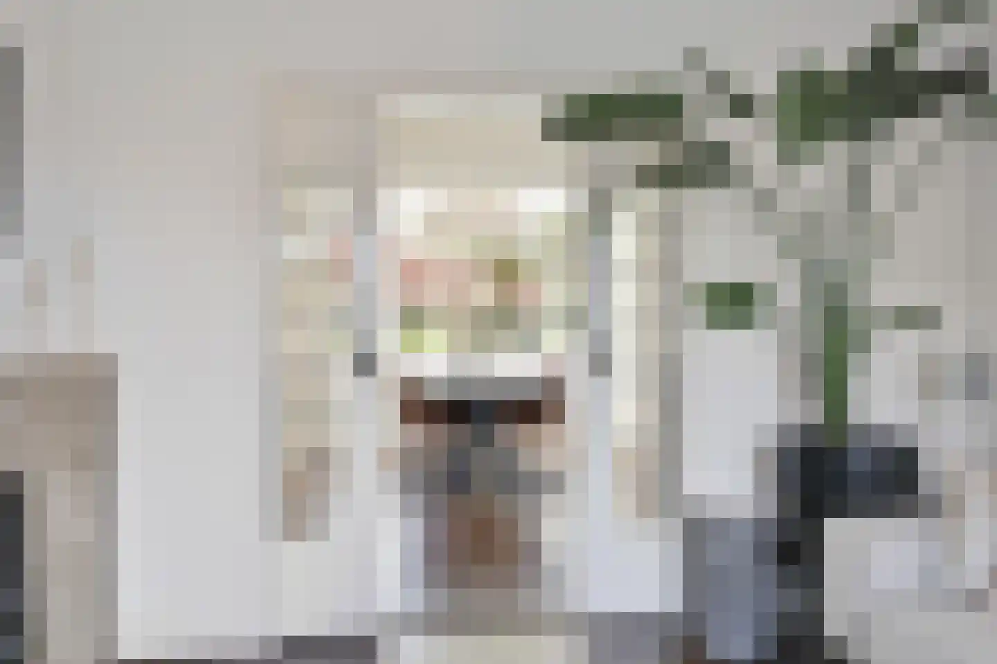 Egmondstraat 8 Velp thumbnail 11