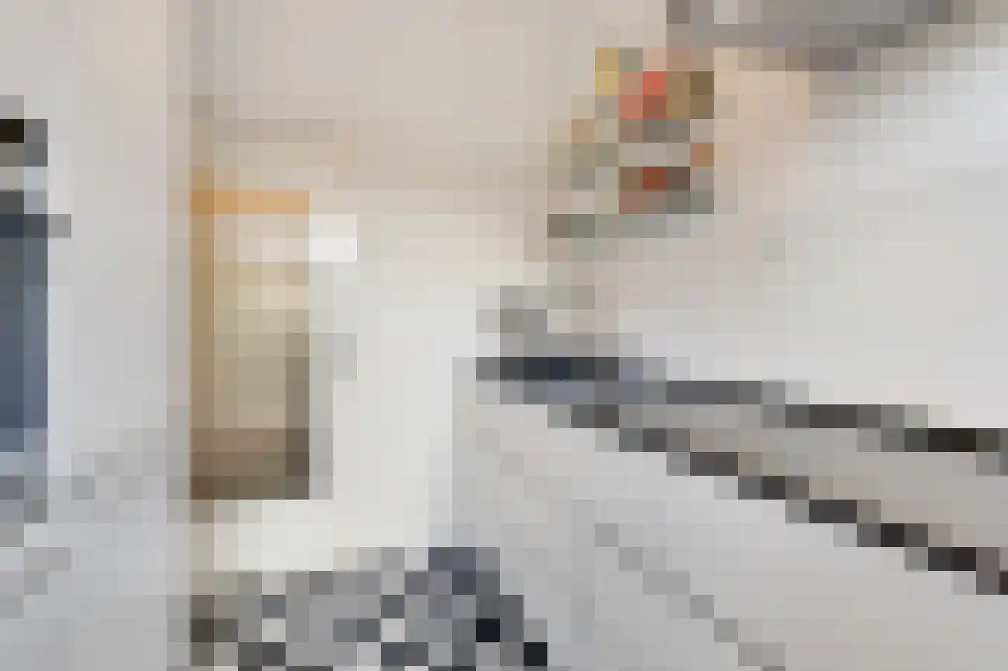 Egmondstraat 8 Velp thumbnail 18