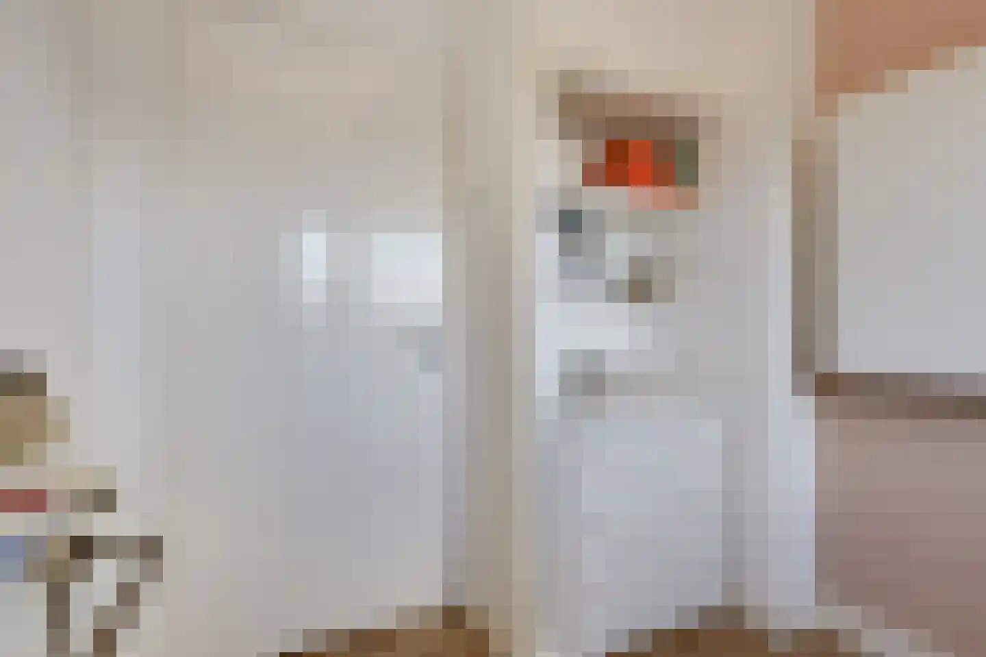 Egmondstraat 8 Velp thumbnail 25