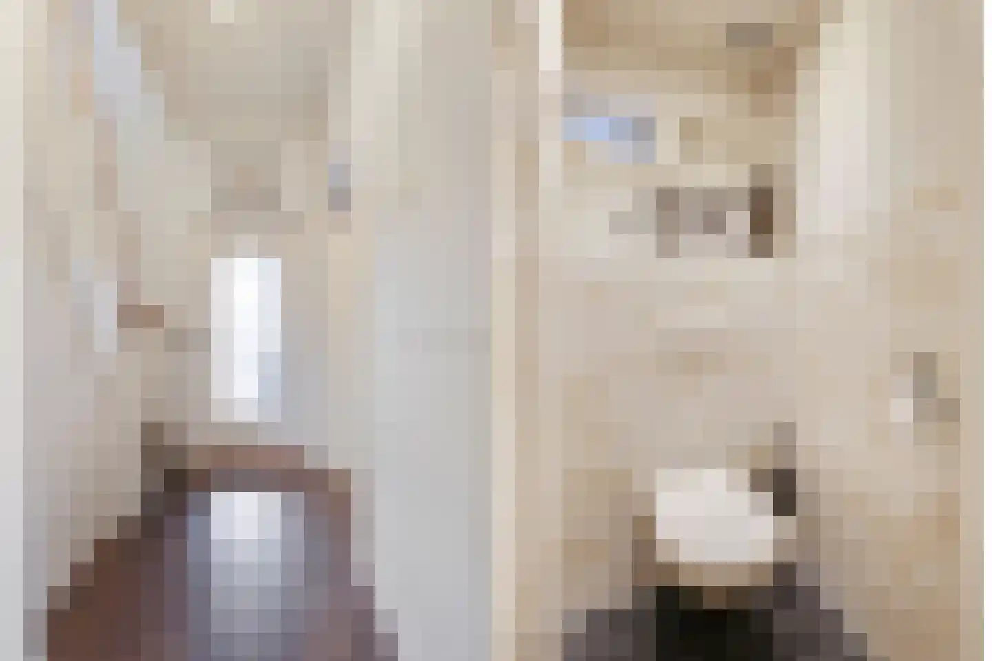 Egmondstraat 8 Velp thumbnail 9