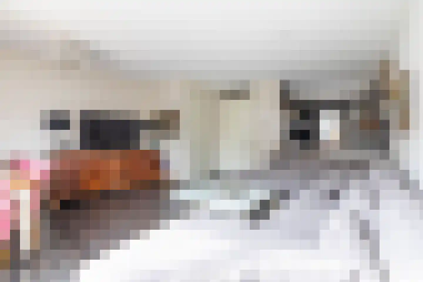 EGoli 120 Amsterdam thumbnail 8