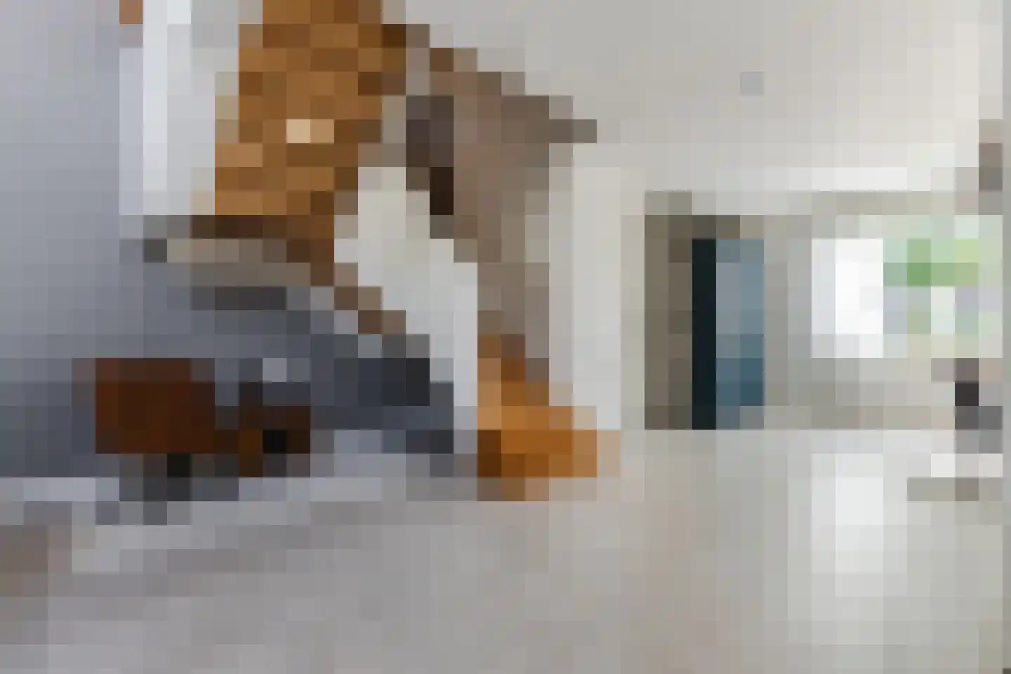 EGoli 95 Amsterdam thumbnail 11