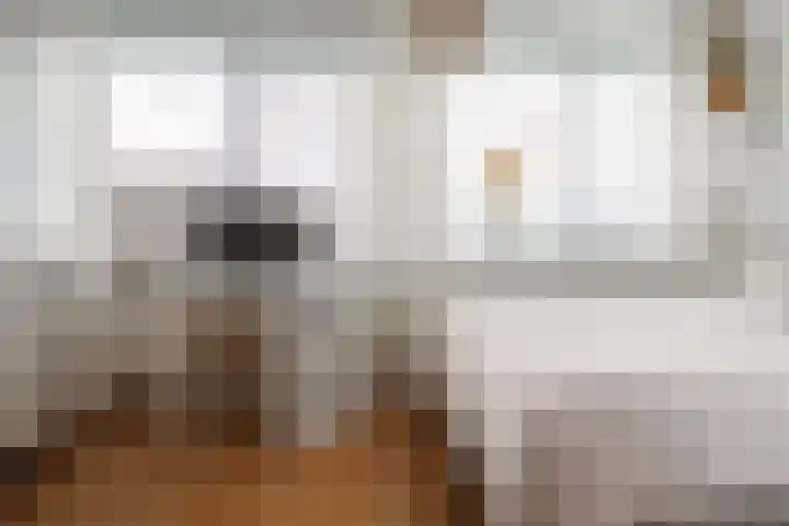 Egstraat 23 Hengelo thumbnail 17