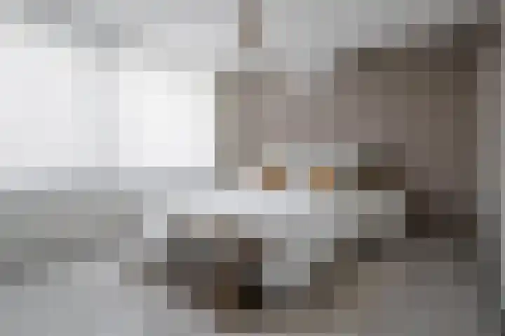 Egstraat 23 Hengelo thumbnail 22